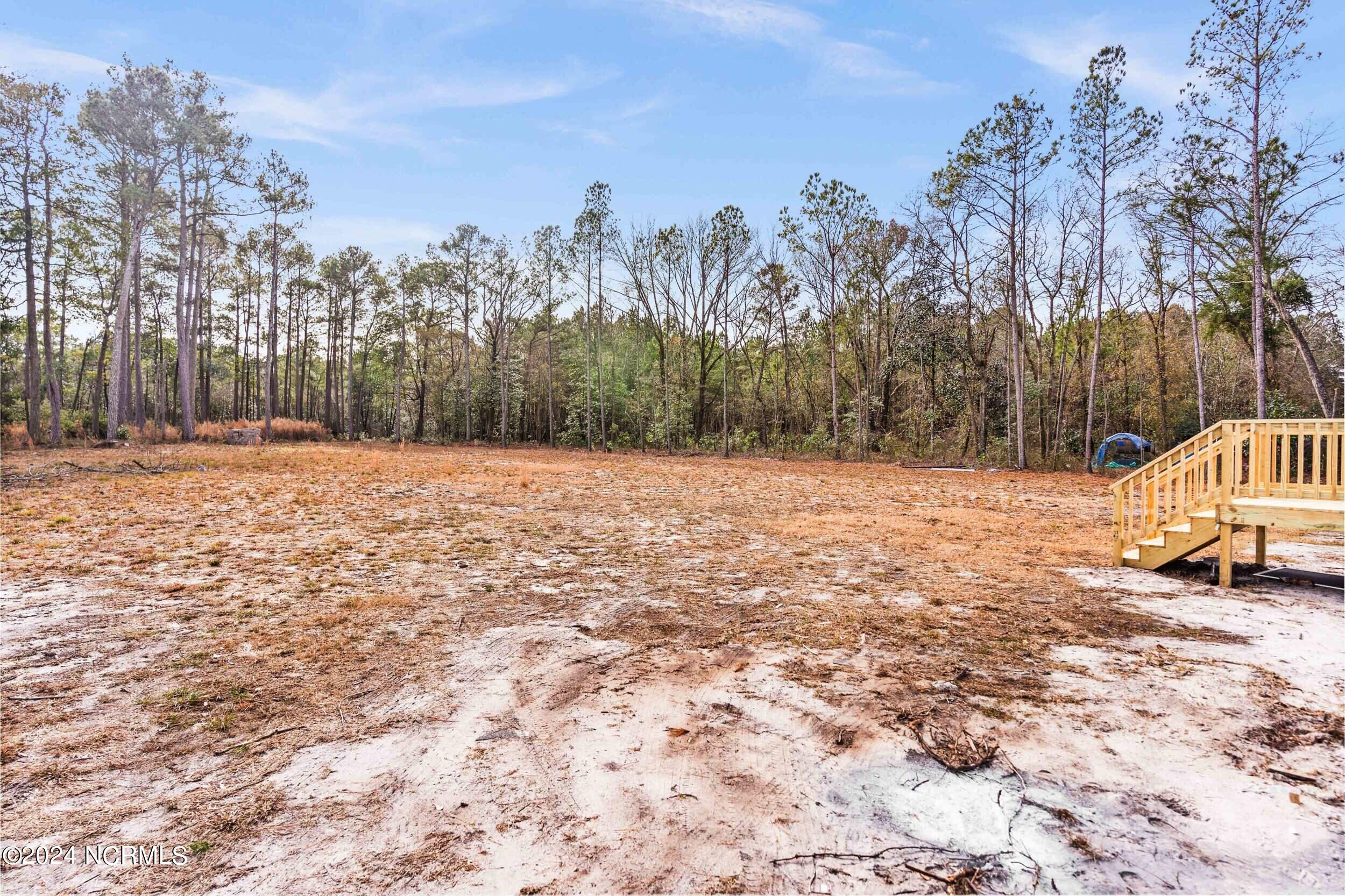 168 Stocking Head Road Rose Hill, NC 28458 - Photo 33 of 40 168stockingheadrd_00039