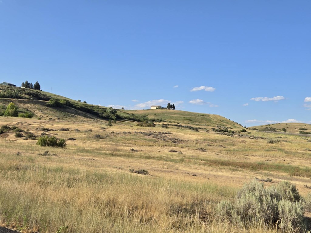 Tbd Mesa Road Indian Valley, ID 83632 - Photo 2 of 7