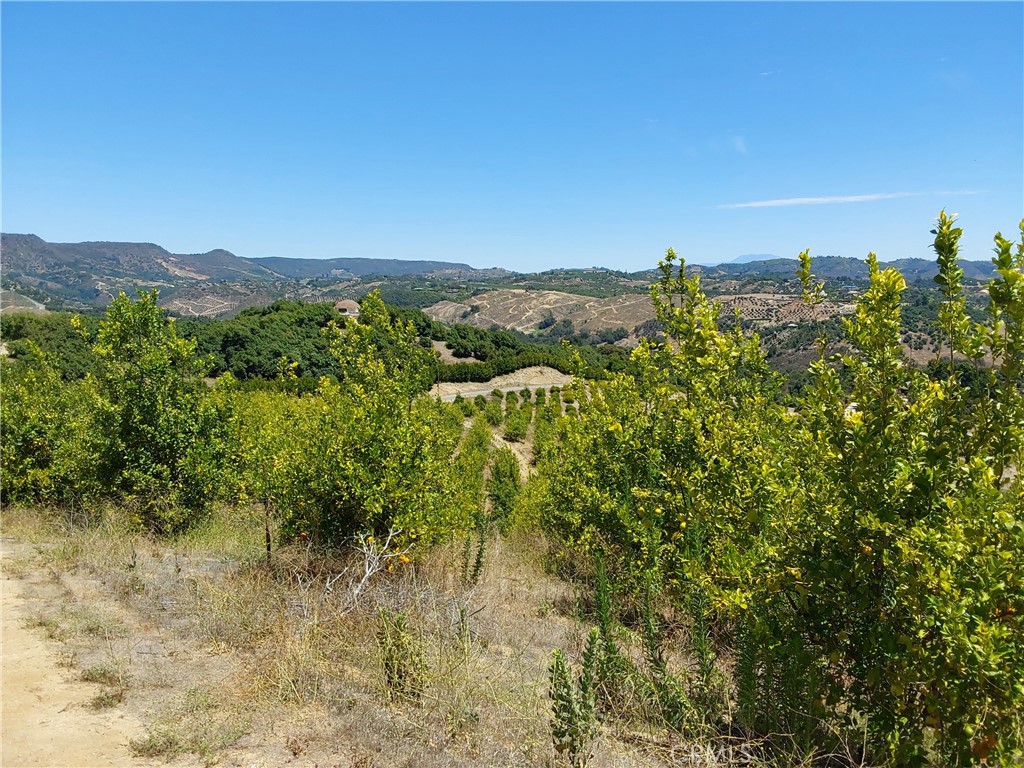 5 De Anza Road Temecula, CA 92590 - Photo 11 of 38