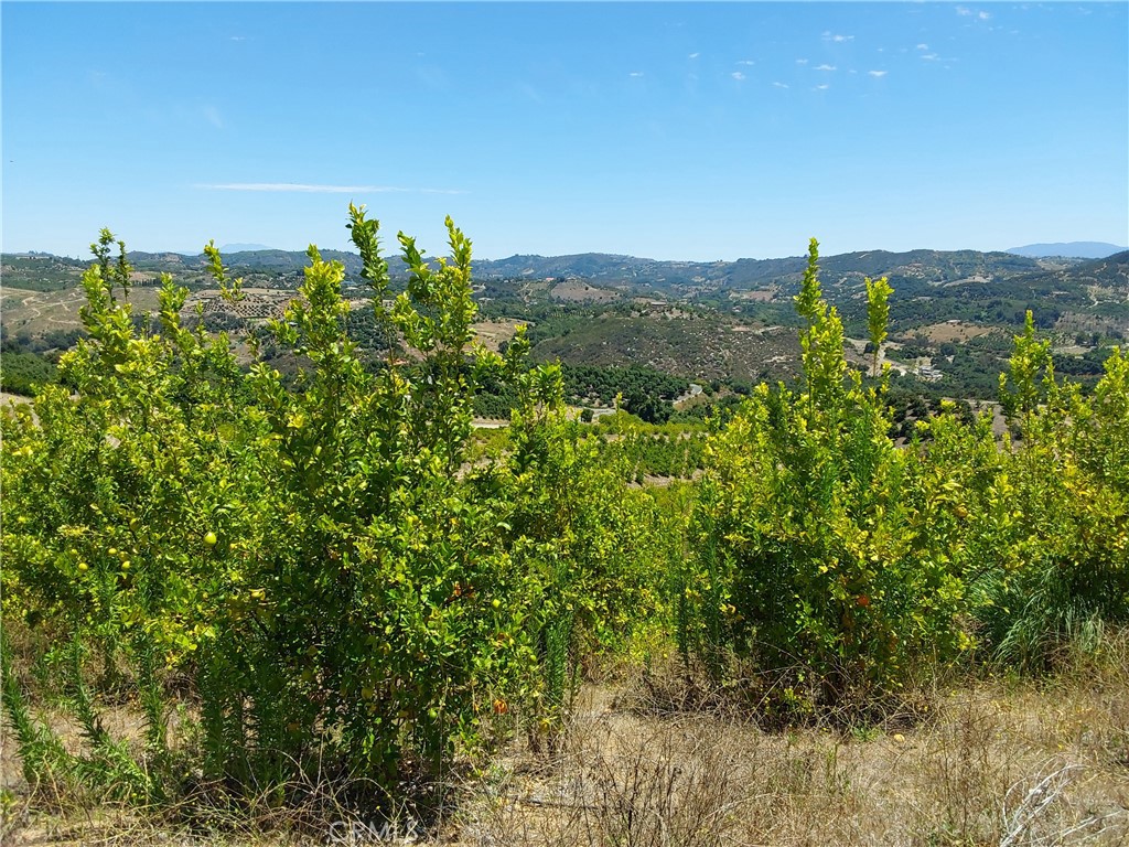 5 De Anza Road Temecula, CA 92590 - Photo 12 of 38