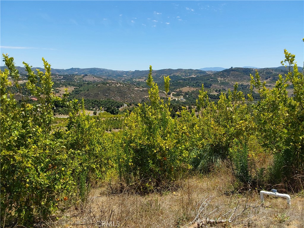 5 De Anza Road Temecula, CA 92590 - Photo 13 of 38