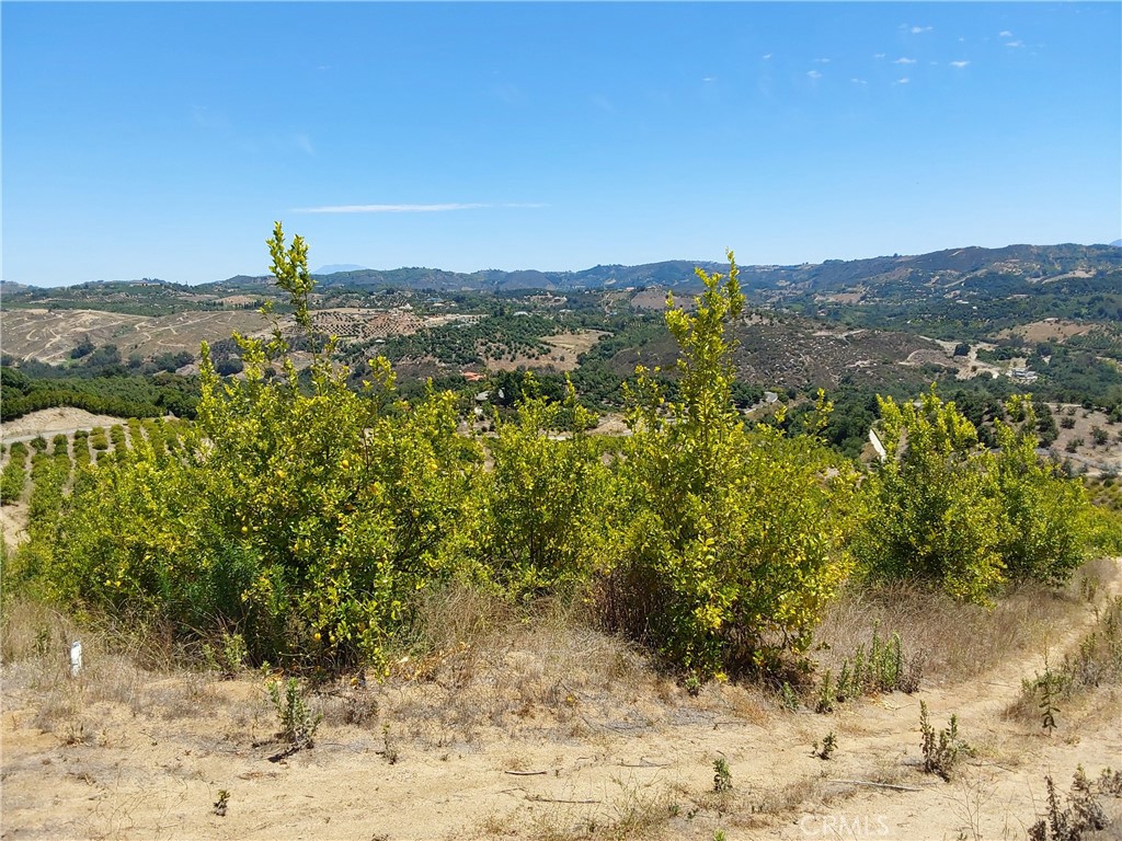5 De Anza Road Temecula, CA 92590 - Photo 15 of 38