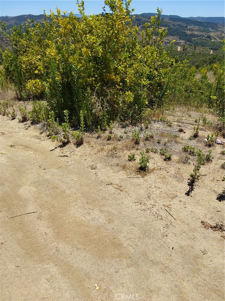 5 De Anza Road Temecula, CA 92590 - Photo 19 of 38