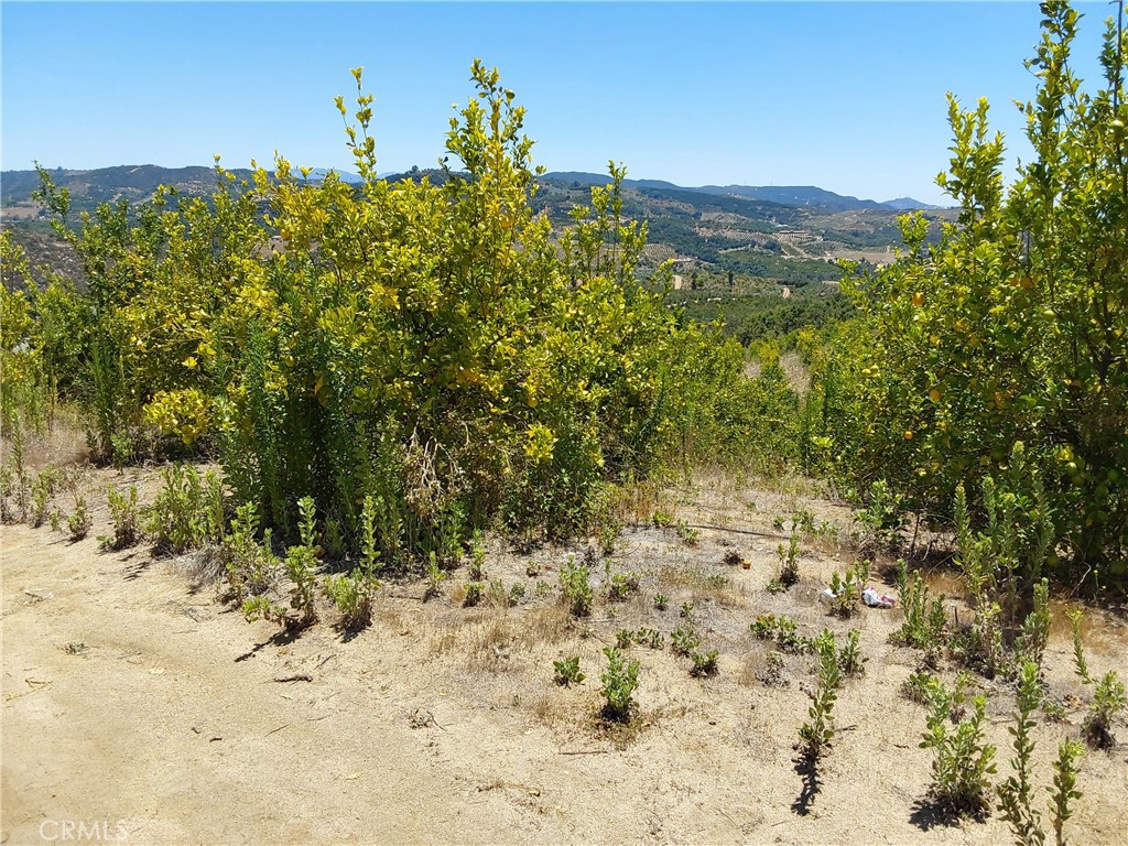 5 De Anza Road Temecula, CA 92590 - Photo 20 of 38