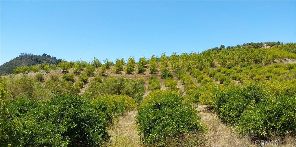 5 De Anza Road Temecula, CA 92590 - Photo 27 of 38