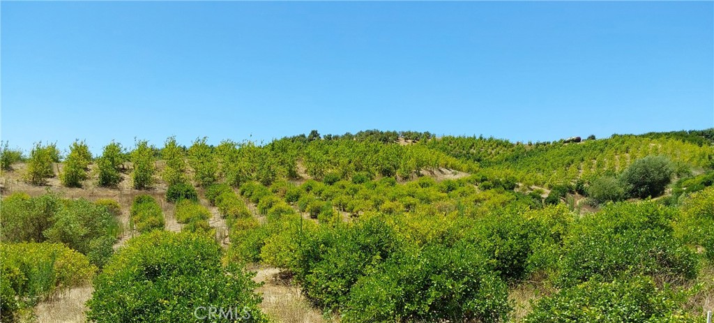 5 De Anza Road Temecula, CA 92590 - Photo 28 of 38