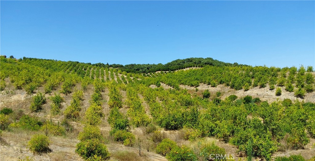 5 De Anza Road Temecula, CA 92590 - Photo 35 of 38