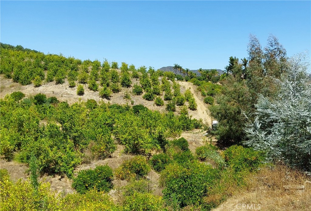 5 De Anza Road Temecula, CA 92590 - Photo 38 of 38