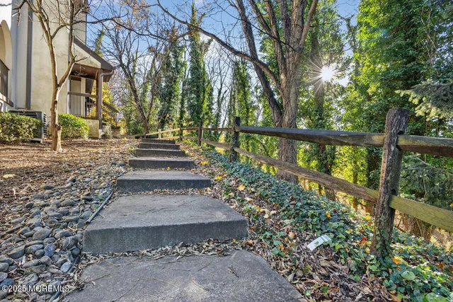 a view of a pathway of a garden