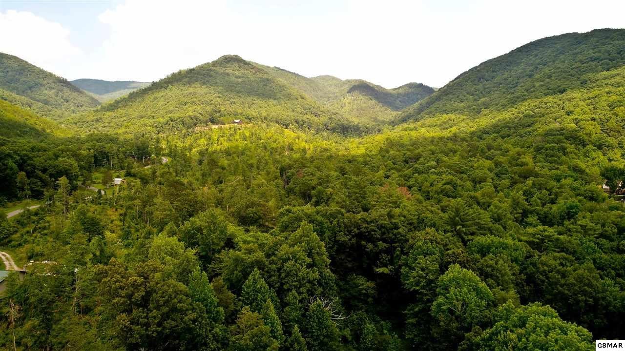 1 Tomahawk Ridge Road Cosby, TN 37722 - Photo 2 of 17 Gallery Image 2
