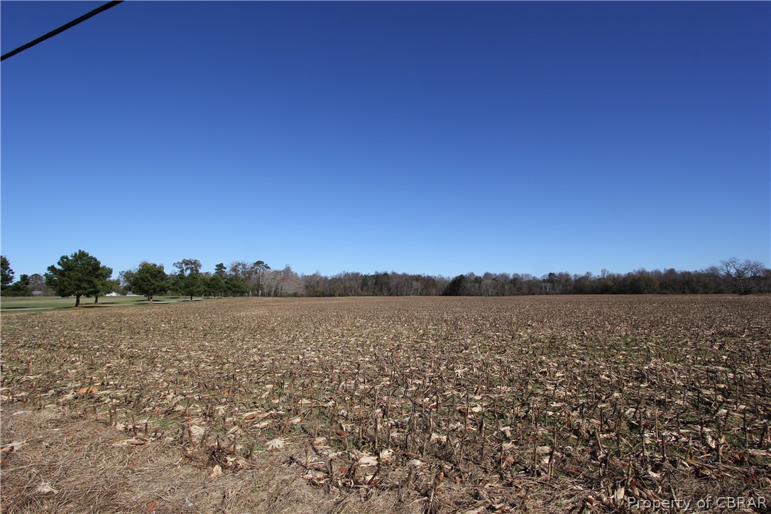 3026 Forge Road Toano, VA 23168 - Photo 6 of 11 3026 Forge Road 50.77 Ac