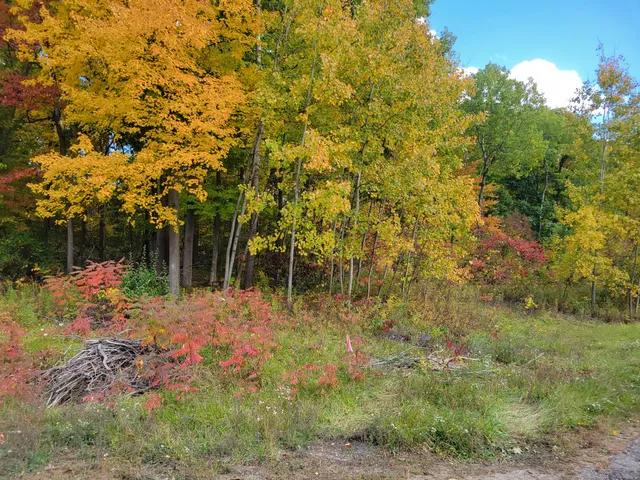 $26,500 | 74016 Ridgeway Drive, Lawton, MI 49065