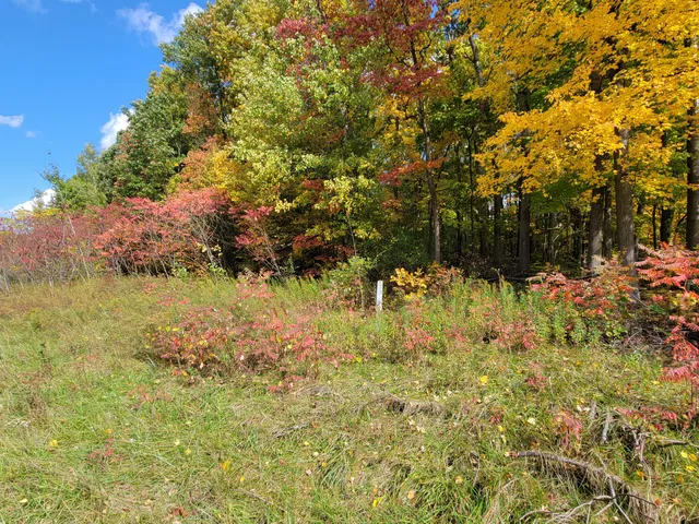 $26,500 | 74016 Ridgeway Drive, Lawton, MI 49065