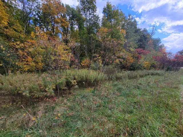 $26,500 | 74016 Ridgeway Drive, Lawton, MI 49065