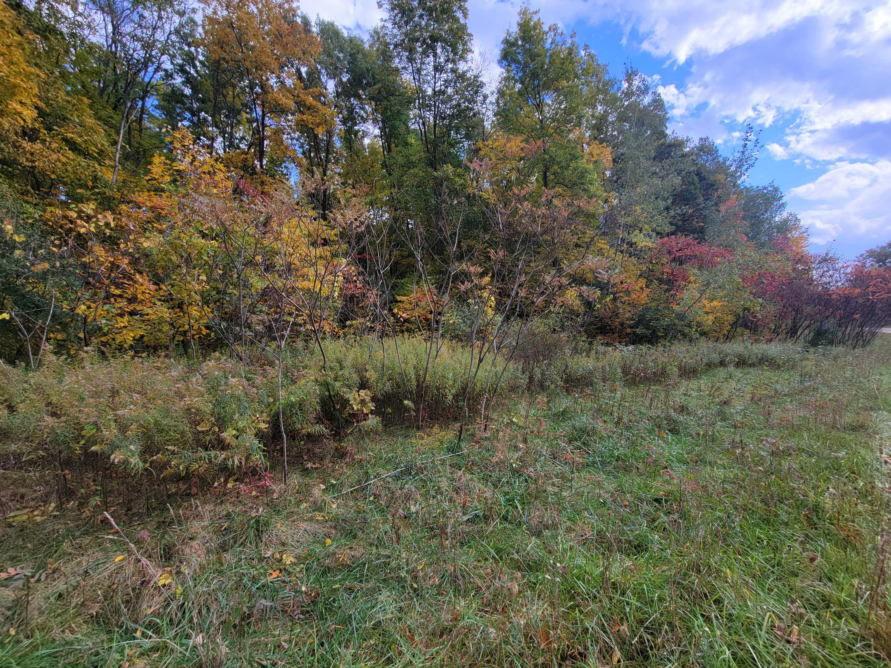 74016 Ridgeway Drive Lawton, MI 49065 - Photo 3 of 7 20221013_145854