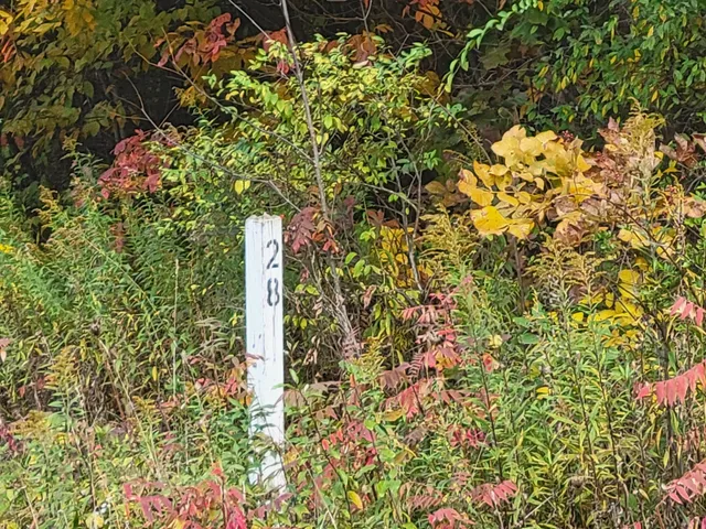 $26,500 | 74016 Ridgeway Drive, Lawton, MI 49065