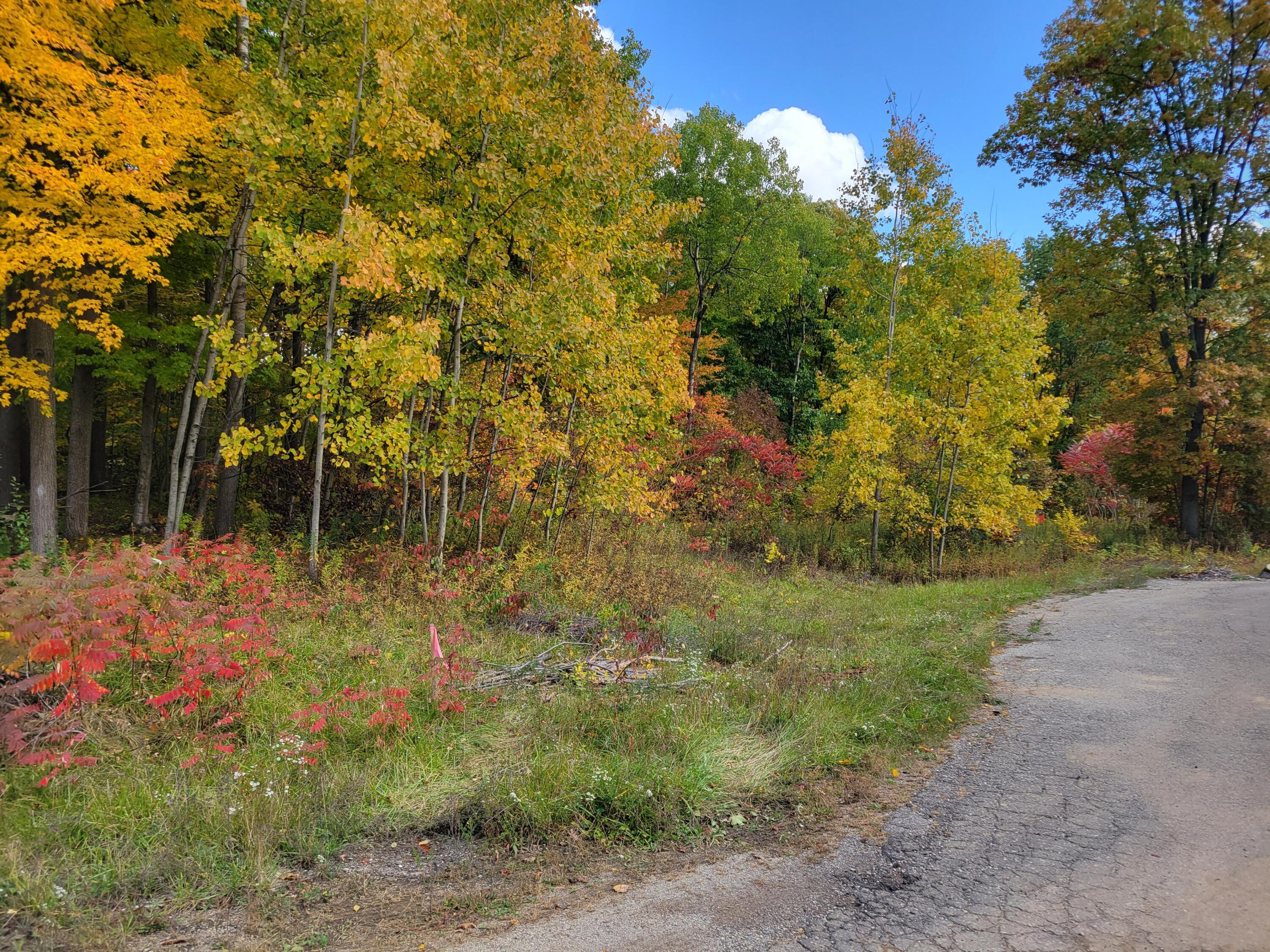 74016 Ridgeway Drive Lawton, MI 49065 - Photo 6 of 7 20221013_140903