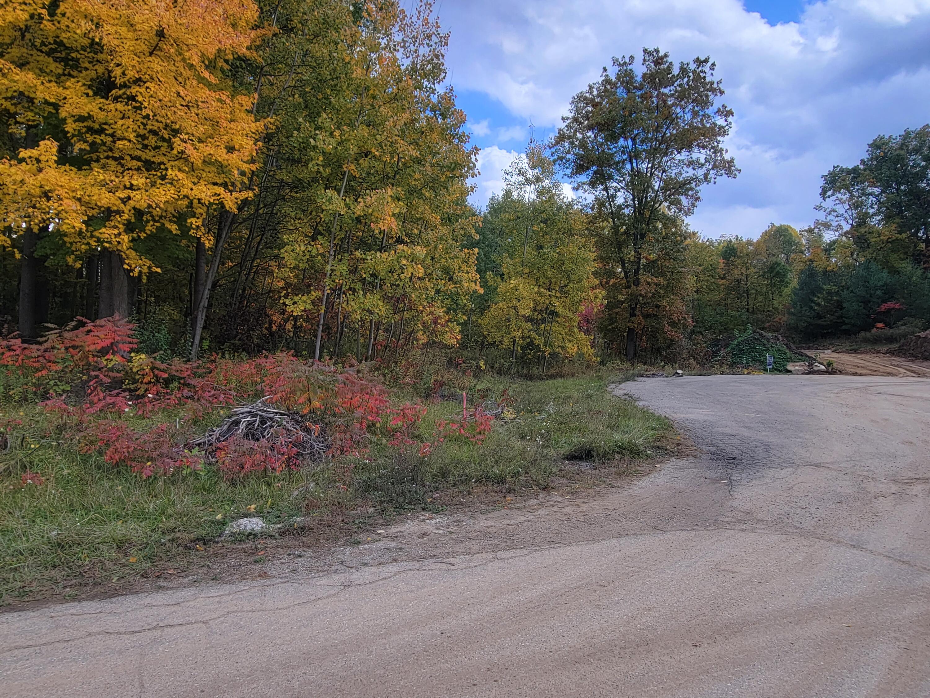 74016 Ridgeway Drive Lawton, MI 49065 - Photo 7 of 7 20221013_151028