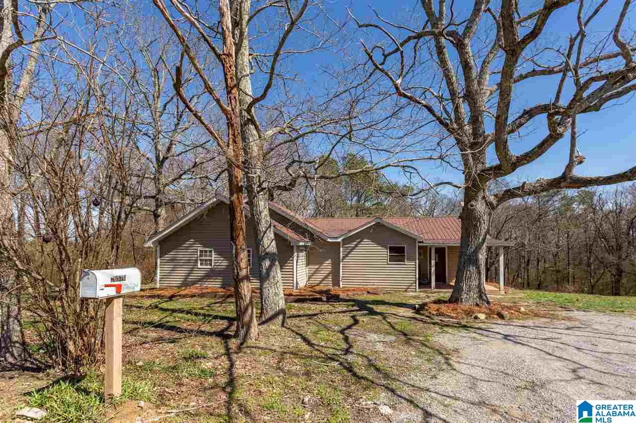 10576 County Road 24 Oneonta, AL 35121 - Photo 2 of 17