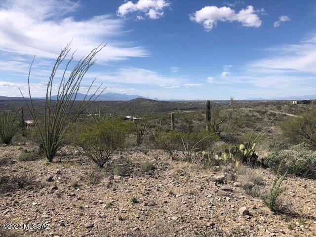 East Rincon Creek Ranch Road, Unit C Tucson, AZ 85747 - Photo 4 of 12 Gallery Image 4