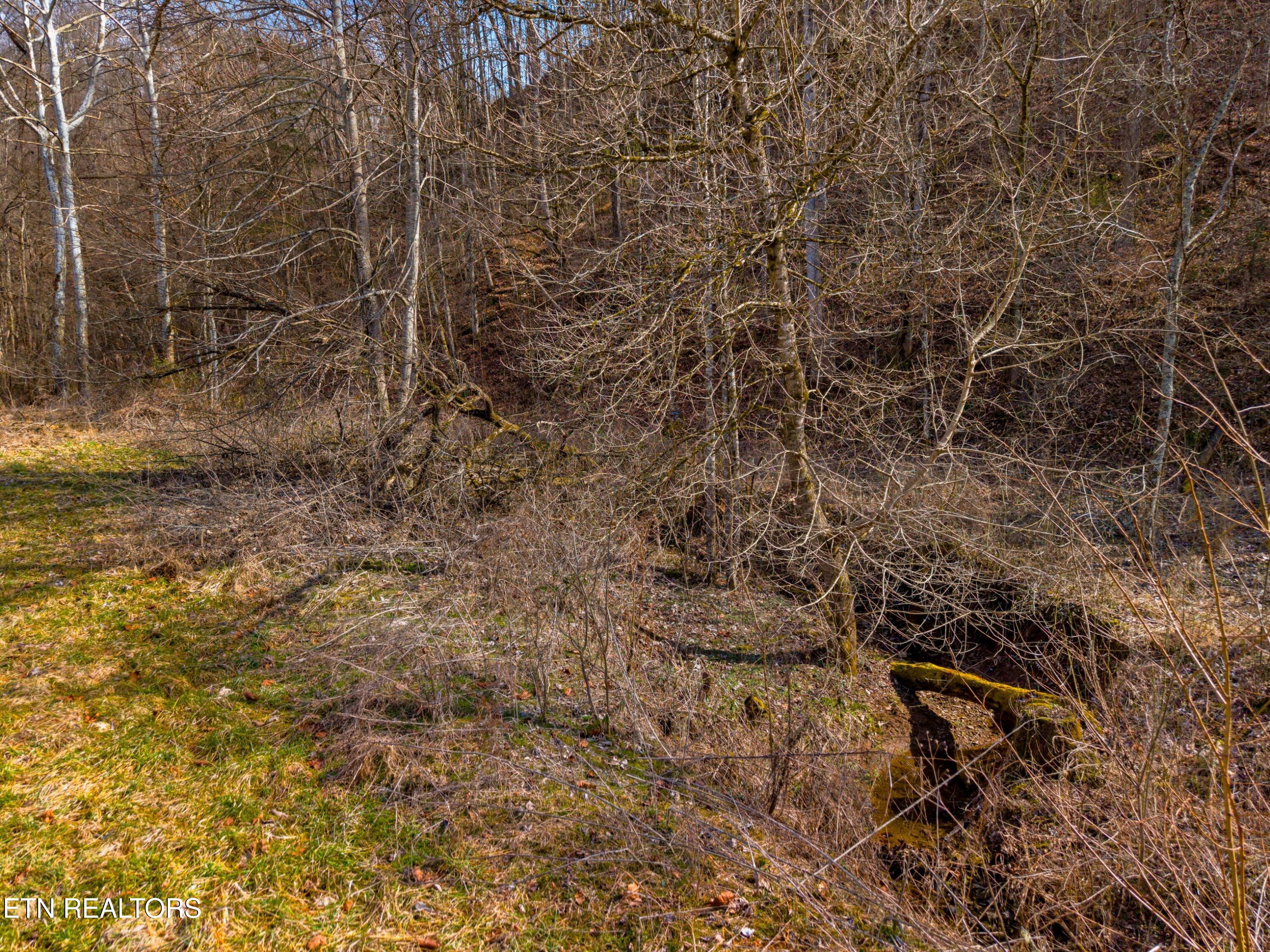 2484 Upper Caney Valley Road Tazewell, TN 37879 - Photo 44 of 46 044-2484UpperCaneyValley-Tazewell-TN-378