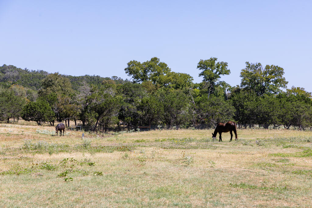 2954 Goat Creek Road Kerrville, TX 78028 - Photo 56 of 66 Gallery Image 56