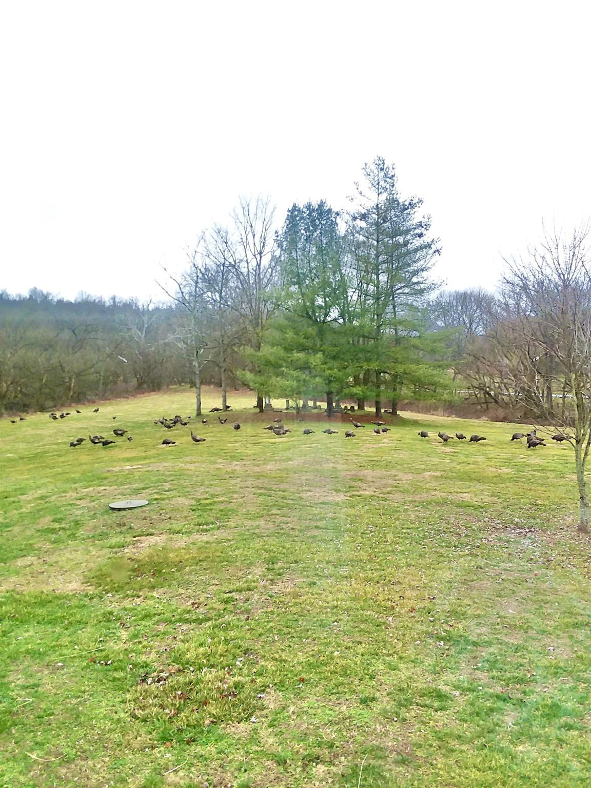 6380 Elliston Mt Zion Road Dry Ridge, KY 41035 - Photo 19 of 29 Gallery Image 19