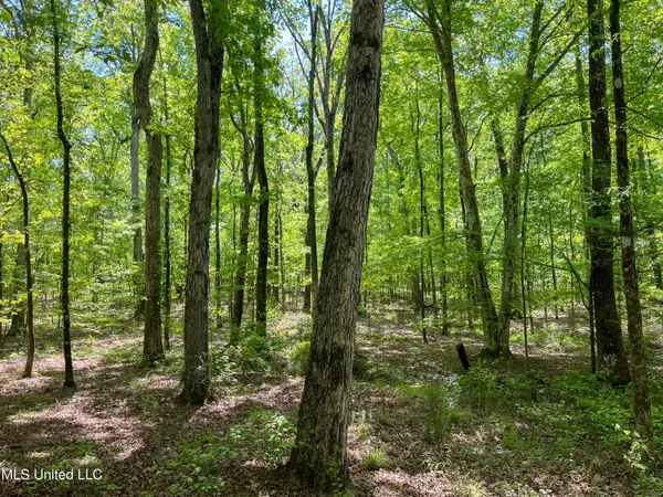 $345,500 | 2432 Attala Road, Kosciusko, MS 39090