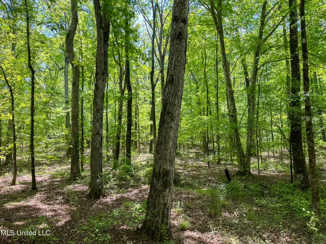 $345,500 | 2432 Attala Road, Kosciusko, MS 39090