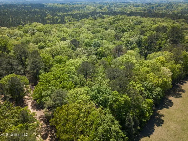 $345,500 | 2432 Attala Road, Kosciusko, MS 39090