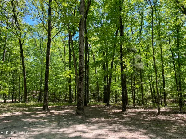 $345,500 | 2432 Attala Road, Kosciusko, MS 39090