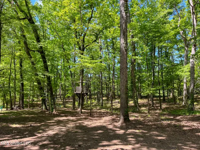 $345,500 | 2432 Attala Road, Kosciusko, MS 39090