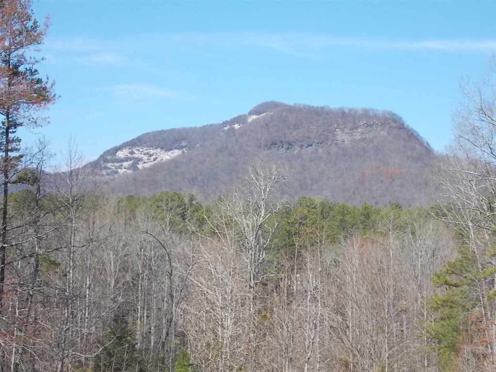 425 Raven Cliff Road Cleveland, SC 29635 - Photo 26 of 30 Gallery Image 26
