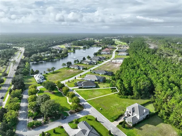 an aerial view of residential houses with outdoor space and trees