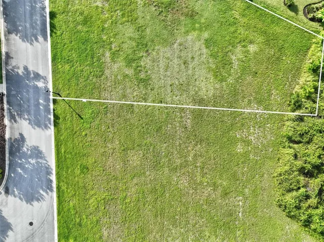 a view of a small yard