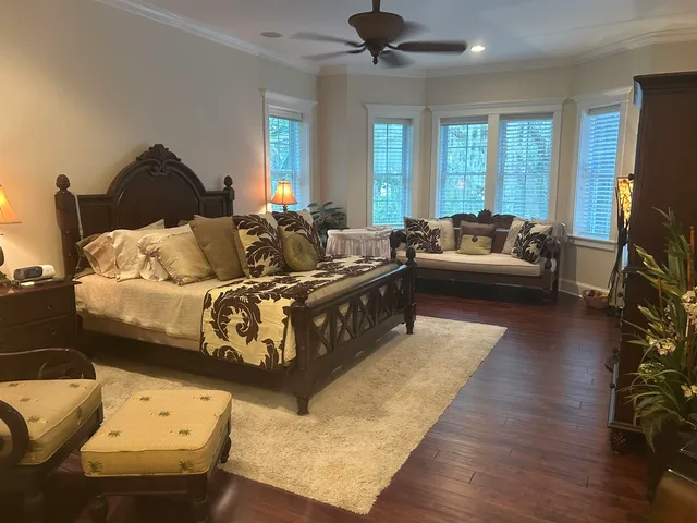 a living room with furniture and a potted plant