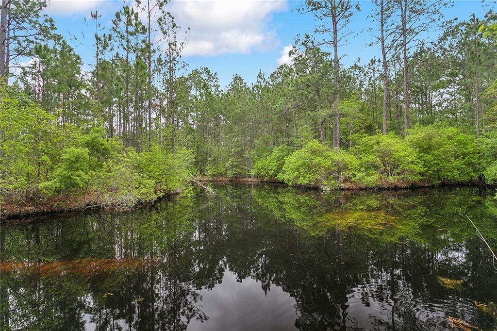 28071 Pine Cone Road Abita Springs, LA 70420 - Photo 23 of 23