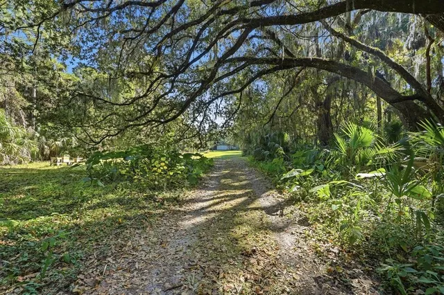$874,900 | 266 Drayton Island Road, Georgetown, FL 32139