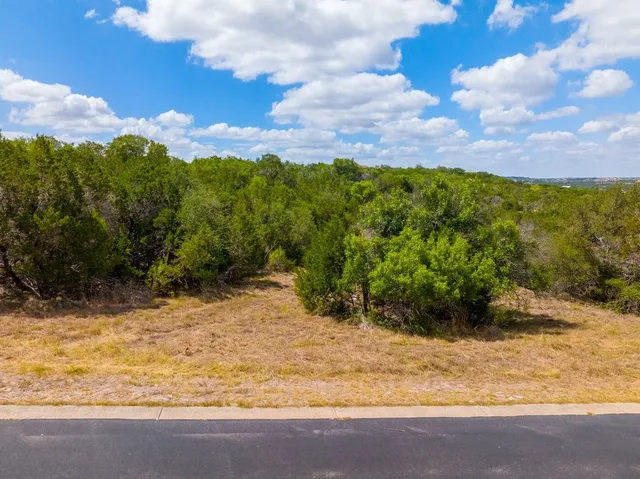 a view of a yard with an trees