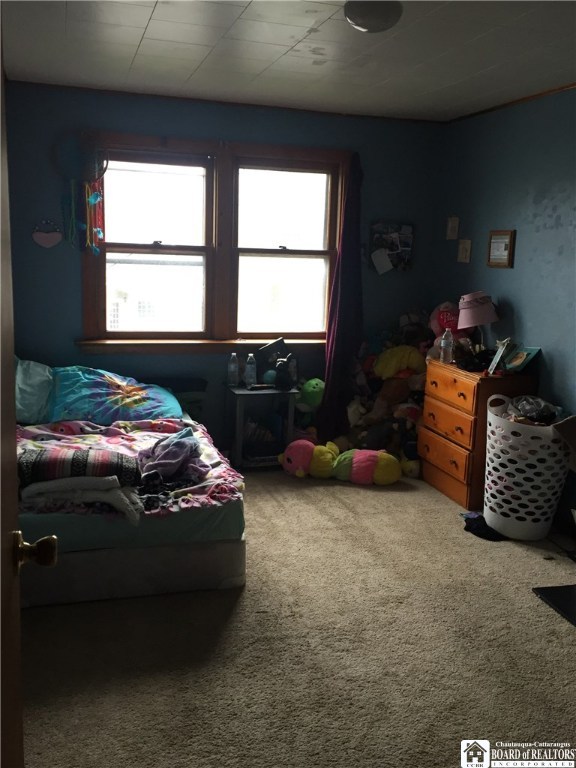 9499 East Main Road Ripley, NY 14775 - Photo 26 of 28 Apt. 3 Bedroom