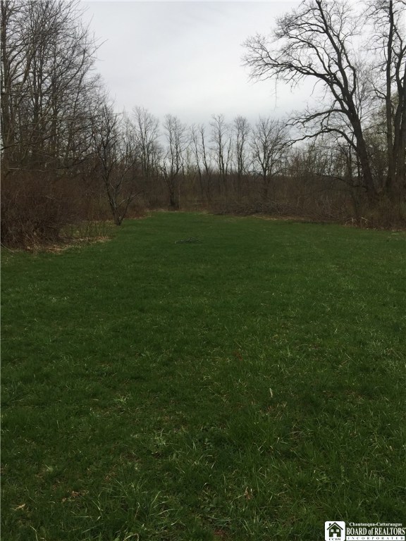 9499 East Main Road Ripley, NY 14775 - Photo 3 of 28