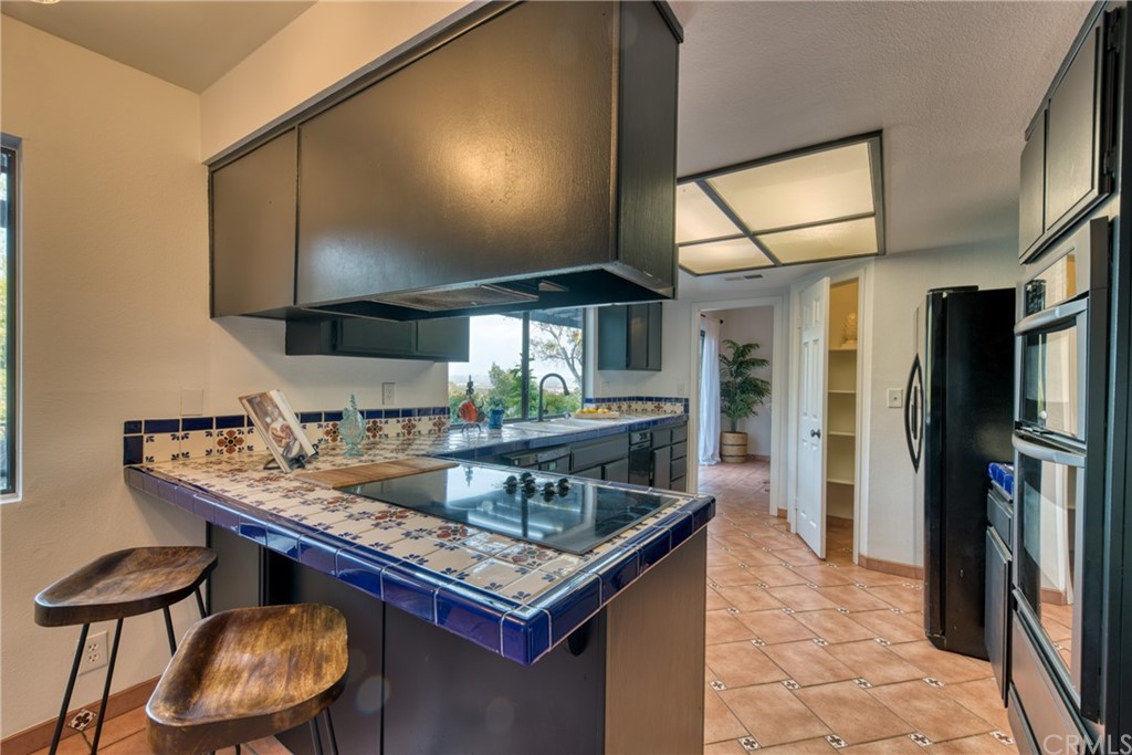 314 Shadow Lane Monrovia, CA 91016 - Photo 13 of 43 a kitchen with stainless steel appliances granite countertop a sink and a refrigerator