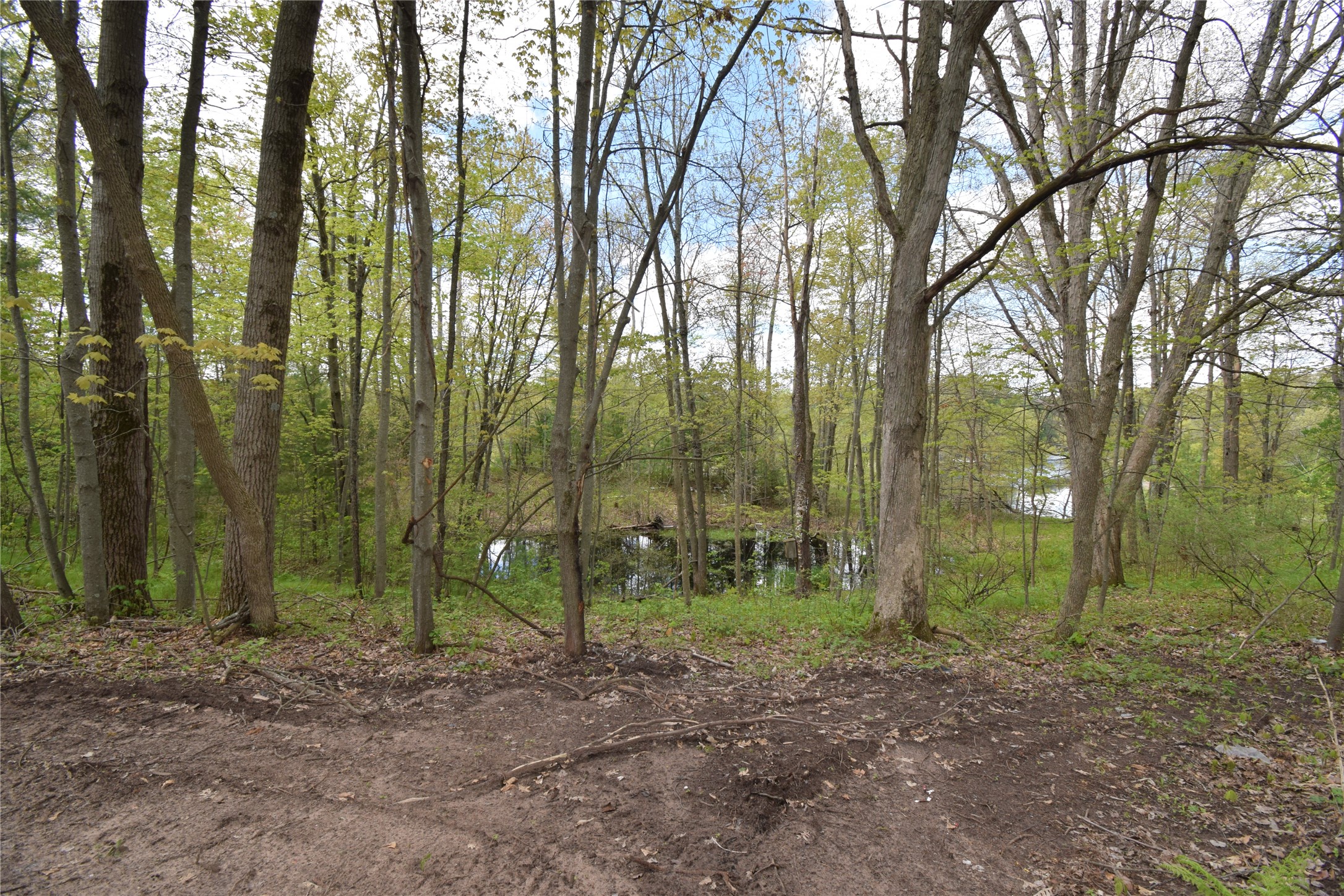 25383 Mansfield Road Webster, WI 54893 - Photo 16 of 36