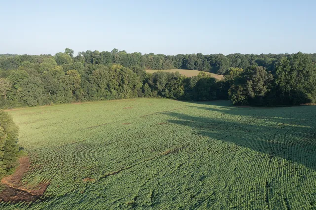 $5,500,000 | 4801 State Highway 48, Cumberland Furnace, TN 37051