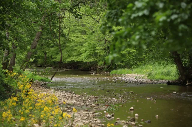 $5,500,000 | 4801 State Highway 48, Cumberland Furnace, TN 37051