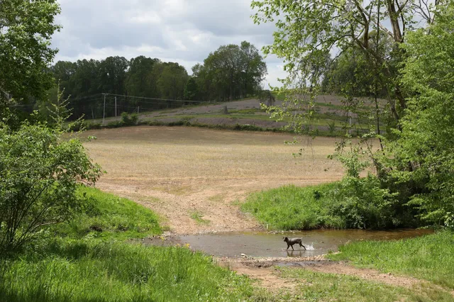 $5,500,000 | 4801 State Highway 48, Cumberland Furnace, TN 37051