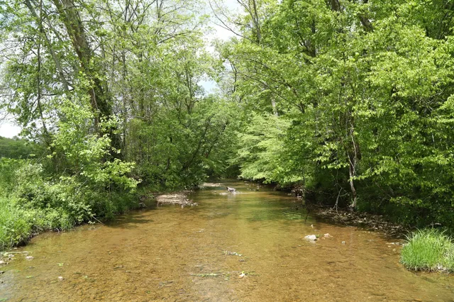 $5,500,000 | 4801 State Highway 48, Cumberland Furnace, TN 37051