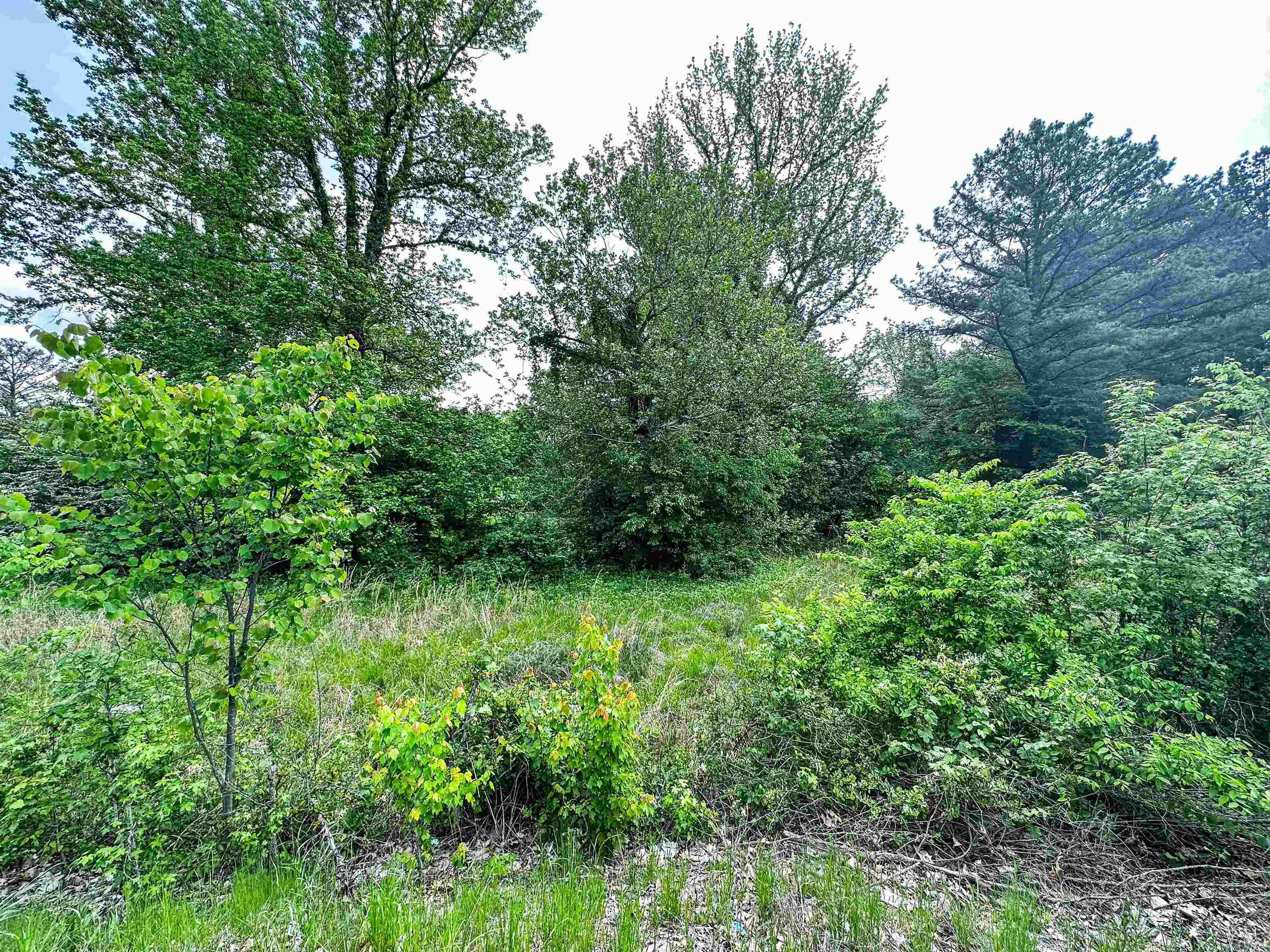 9 Lagrange Road Somerville, TN 38068 - Photo 8 of 8 Gallery Image 8