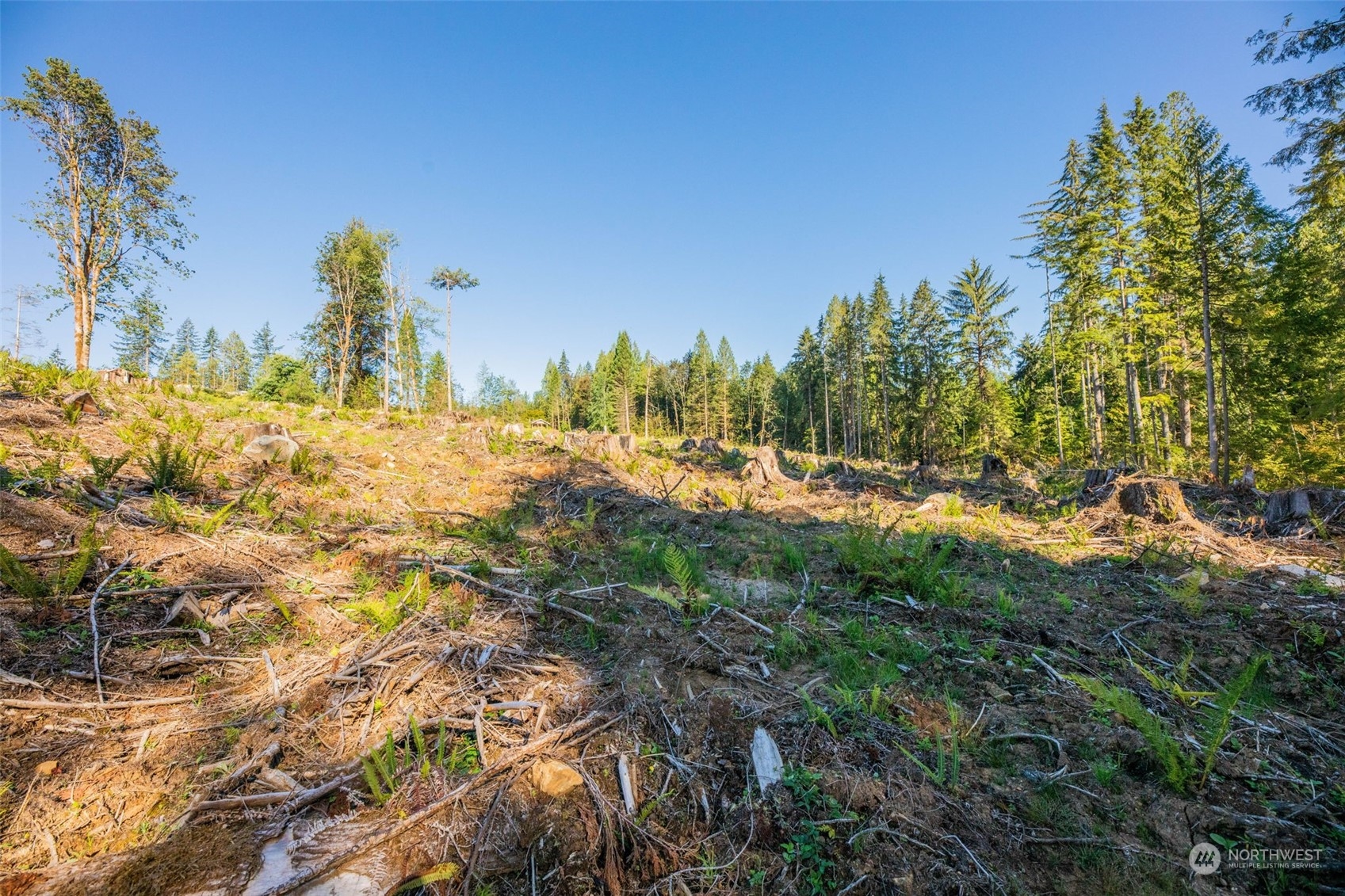 9005 Woods Creek Road Monroe, WA 98272 - Photo 12 of 36