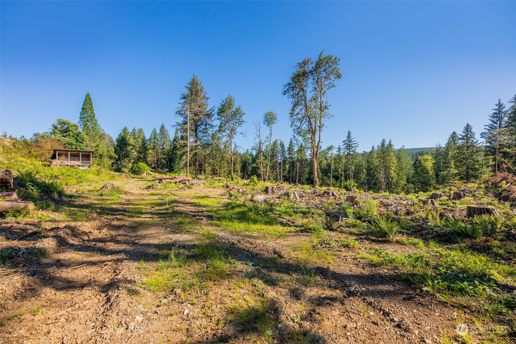 9005 Woods Creek Road Monroe, WA 98272 - Photo 13 of 36
